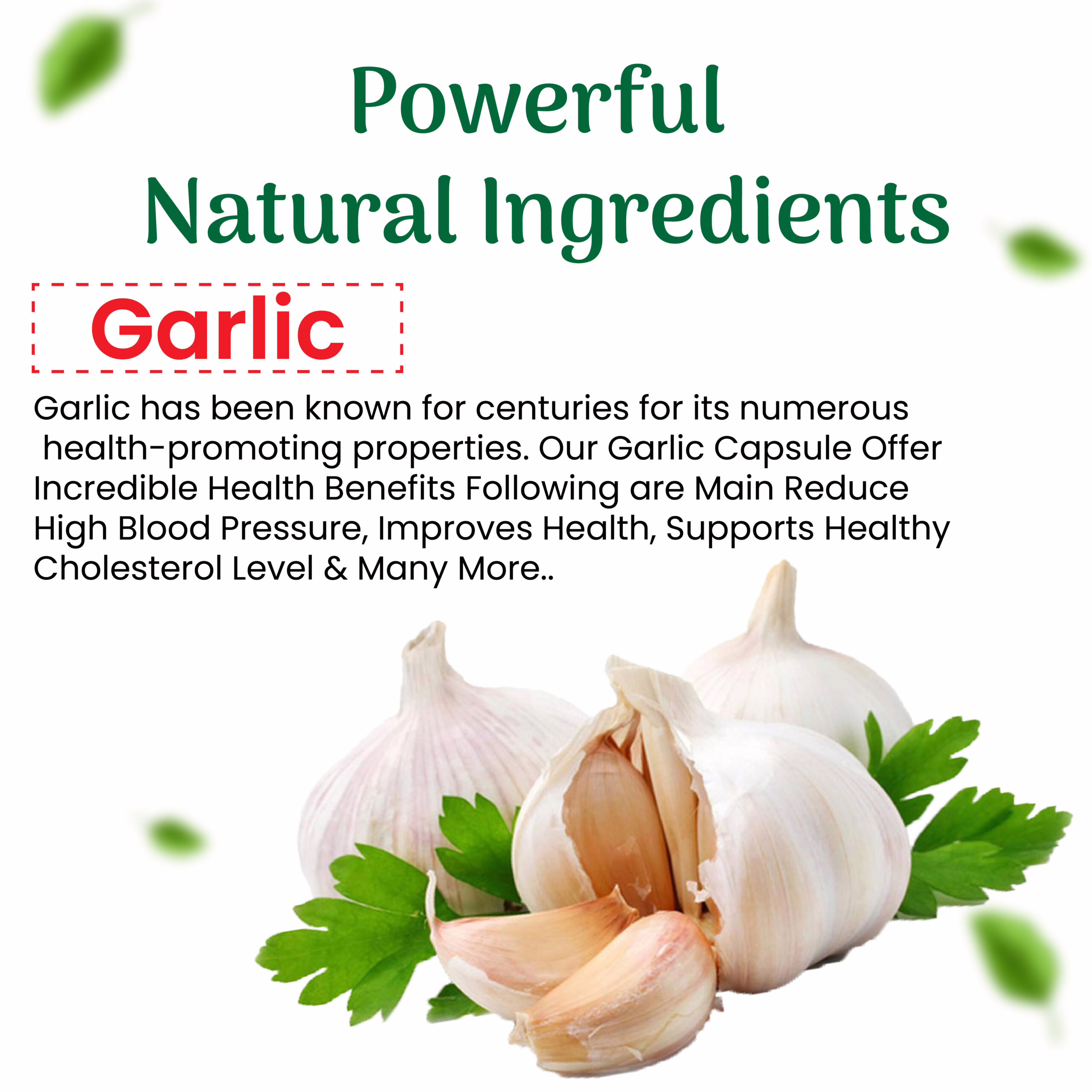 Garlic SoftGel Capsule 07 scaled